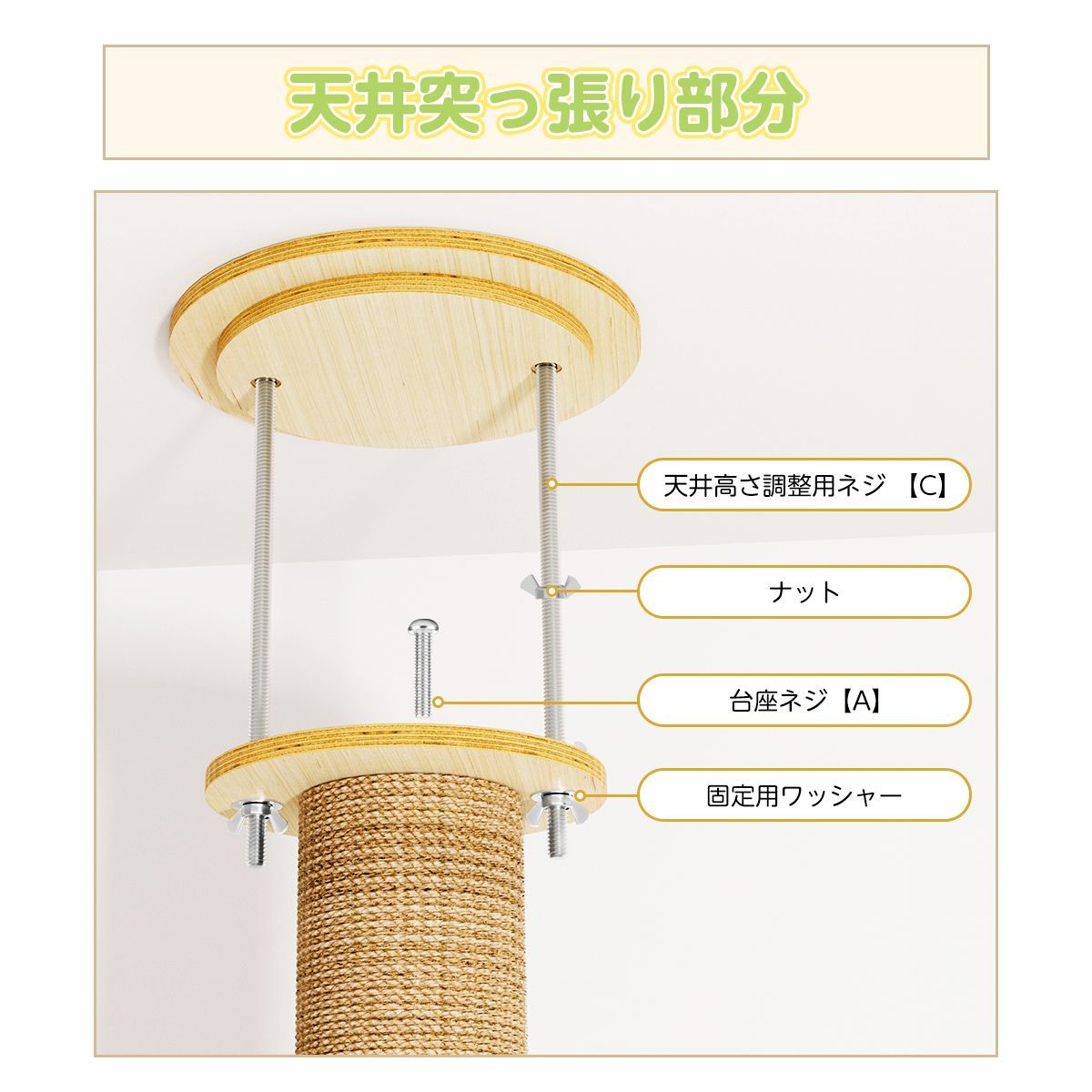 多頭飼い 賃貸