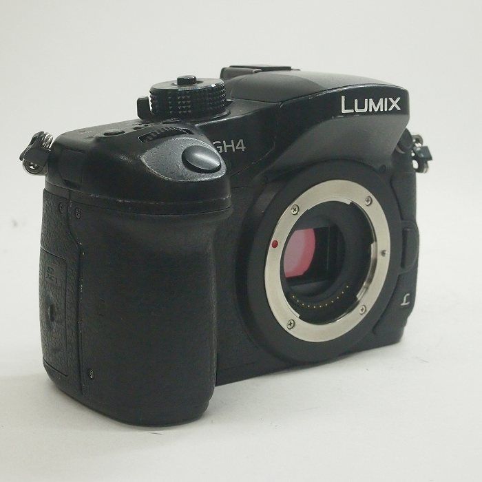 Panasonic DMC-GH