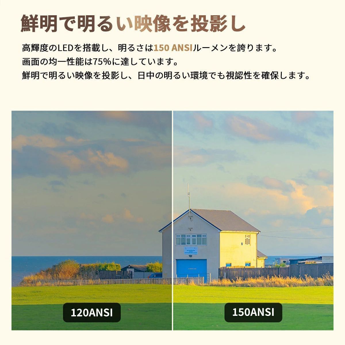 リモコン 一人暮らし