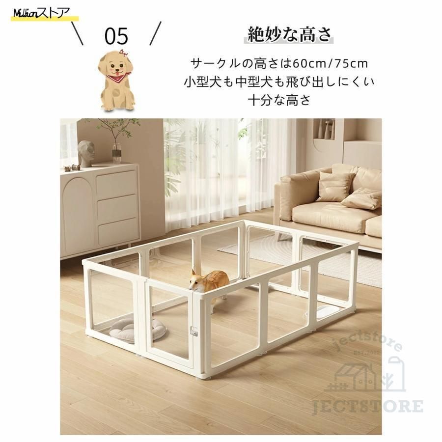 犬