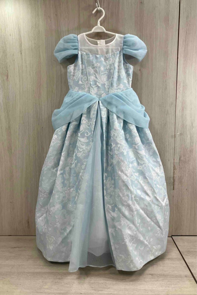 東京ディズニーリゾート ディズニープリンセス シンデレラ ドレス