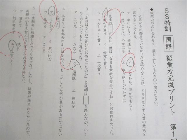 【SAPIX】サピックス 6年 国語 開成対策・最難関対策・語彙力完成等 小6 SAPIX】サピックス 6年 国語 開成対策・最難関対策・語彙力完成
