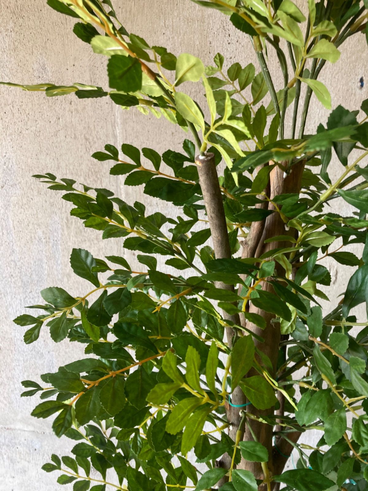 光触媒　人工観葉植物　ウォールグリーン　フェイク　アレンジ　トネリコデコルテ
