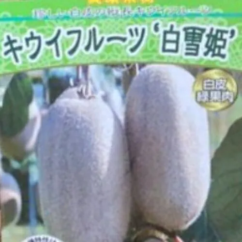 2026年最新】キウイ 花粉の人気アイテム - メルカリ