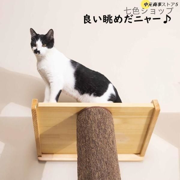 登り