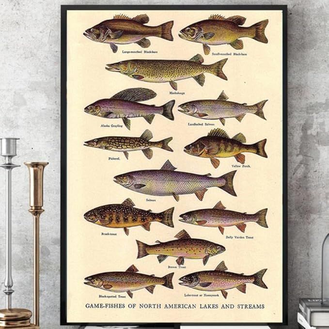 キャンパス　プリント　壁アート　ポスター JXRDG 釣り釣り壁アートキャンバス絵画ポスタープリント魚の品種