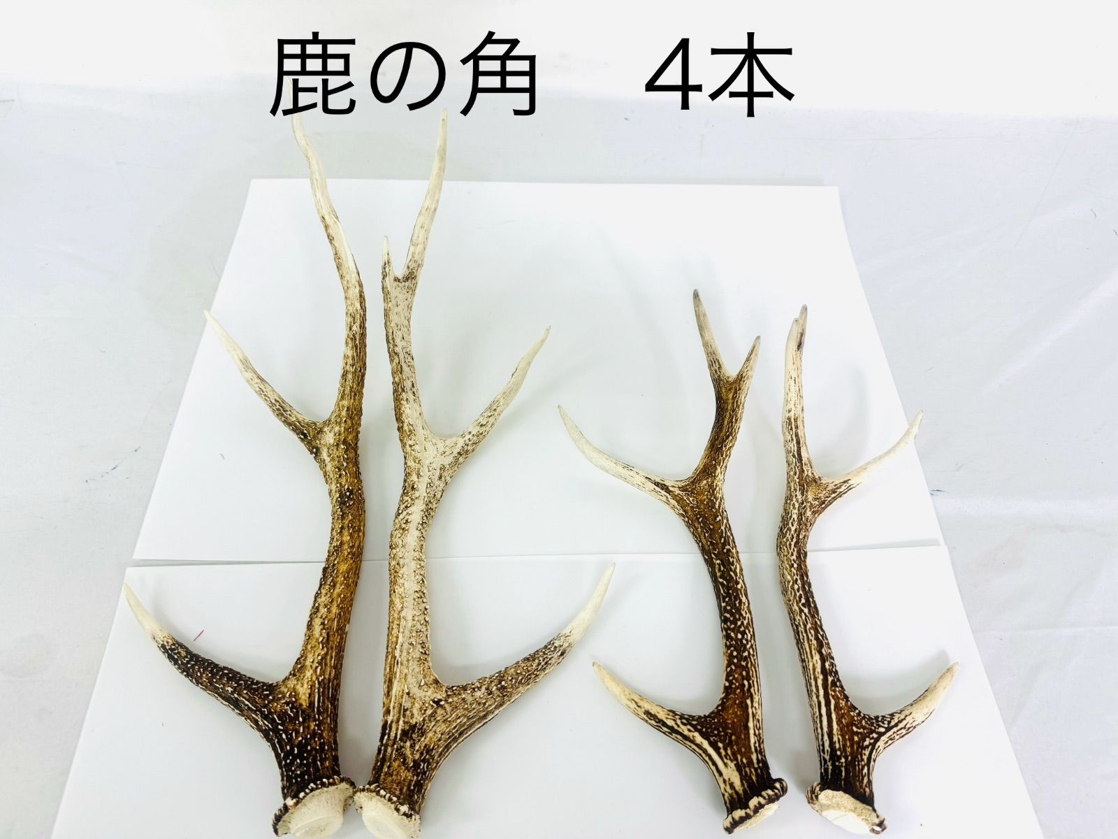 鹿の角 4本 大小 天然 動物 オブジェ az MID - メルカリ