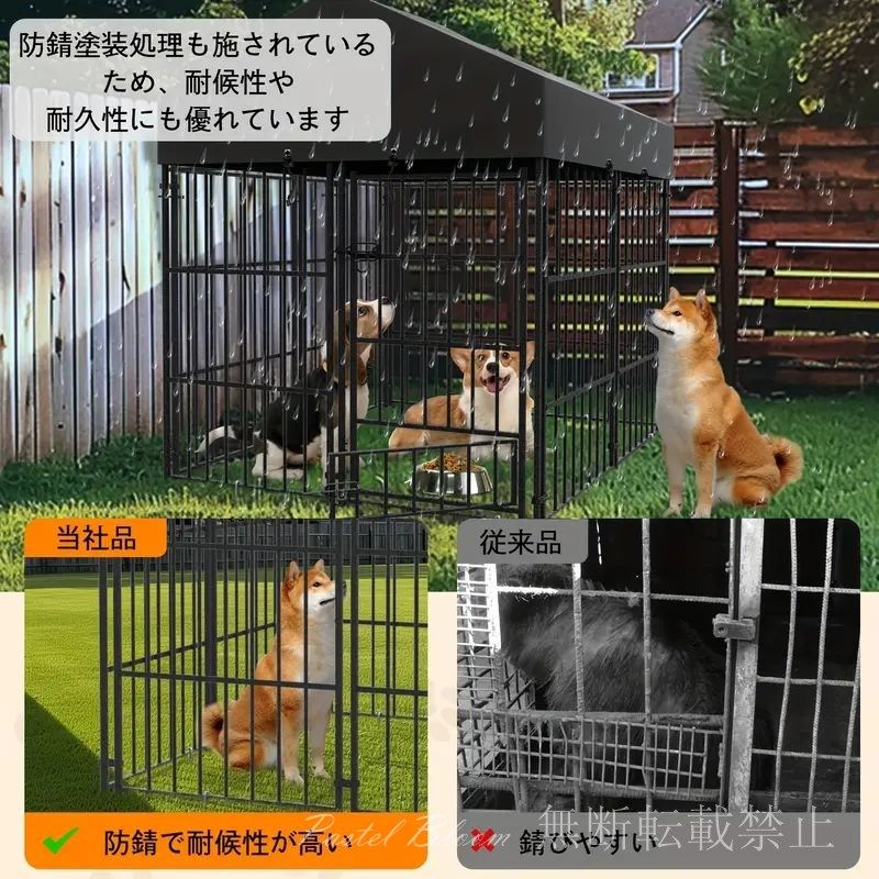 大型猫