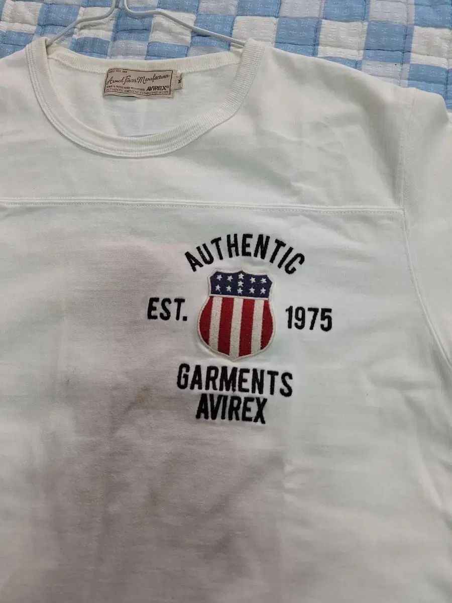 薄いベージュ色 半袖