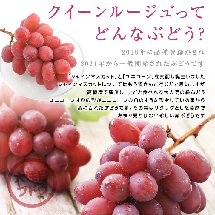 長野県産 クイーンルージュ ぶどう 希少品種 - メルカリ 長野県産 クイーンルージュ ぶどう 希少品種 - メルカリ