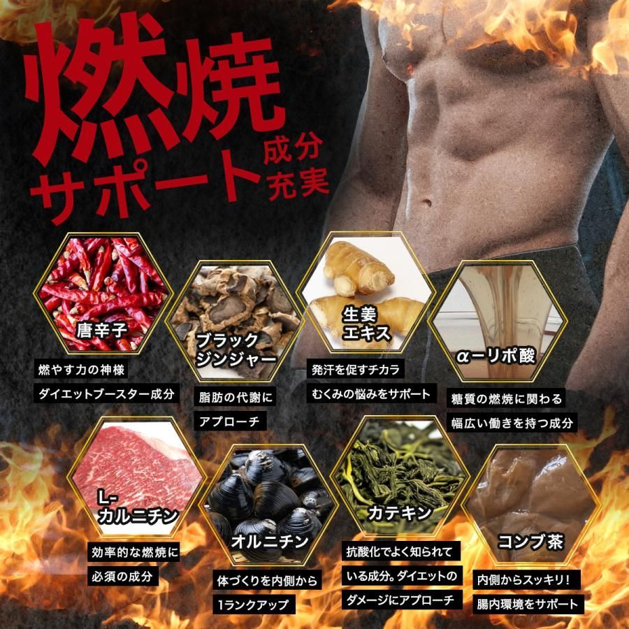 お得!6ヶ月分2袋・メタカボブースター】燃焼系 サポート L-カルニチン オルニチン 燃焼 ダイエット サプリメント コンブ茶 カテキン  L-カルニチン オルニチン 唐辛子 生姜 燃やす サプリ おすすめ 人気 ランキング 効果 強力 最強 国産 日本製 - メルカリ