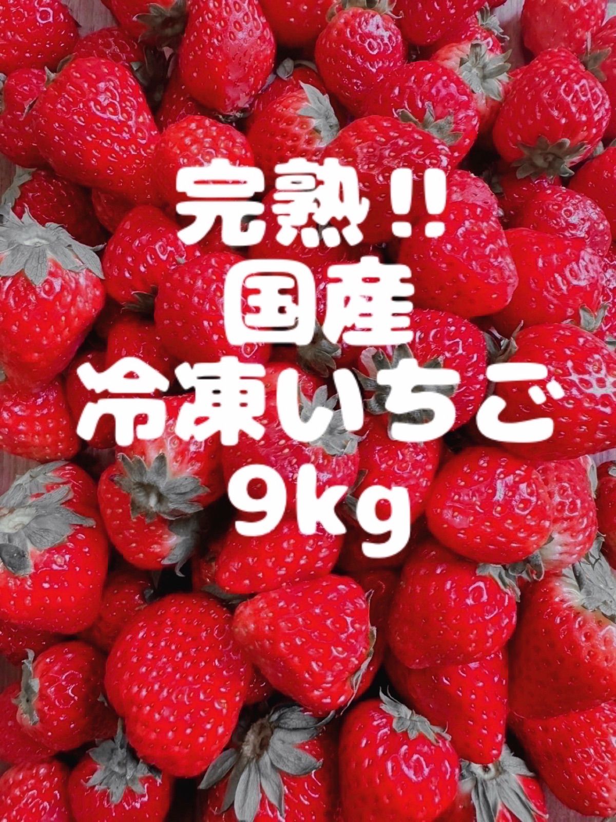 完熟 9kg 愛知県産 農家 冷凍苺 S