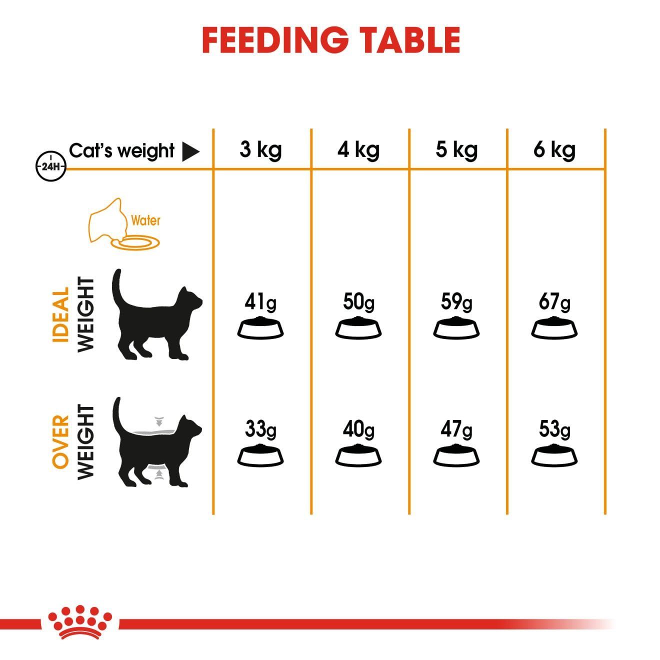 猫用