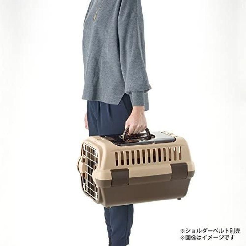 保護犬 保護猫