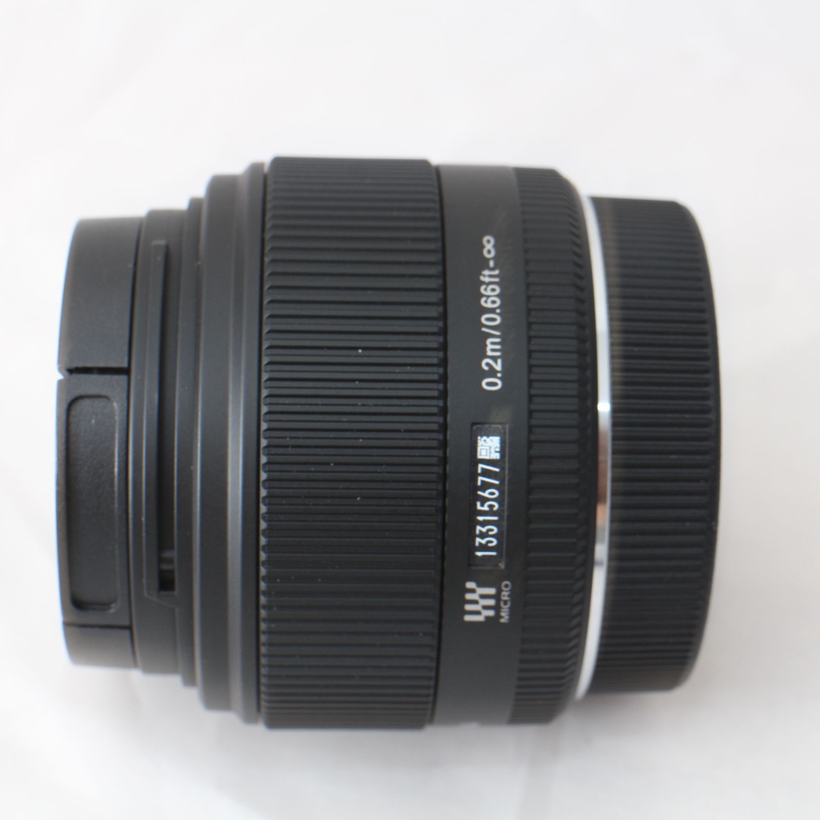 ブラジル産　ミズスマシ　19mm 19mm ブラジル産 ミズスマシ 19mm 19mm