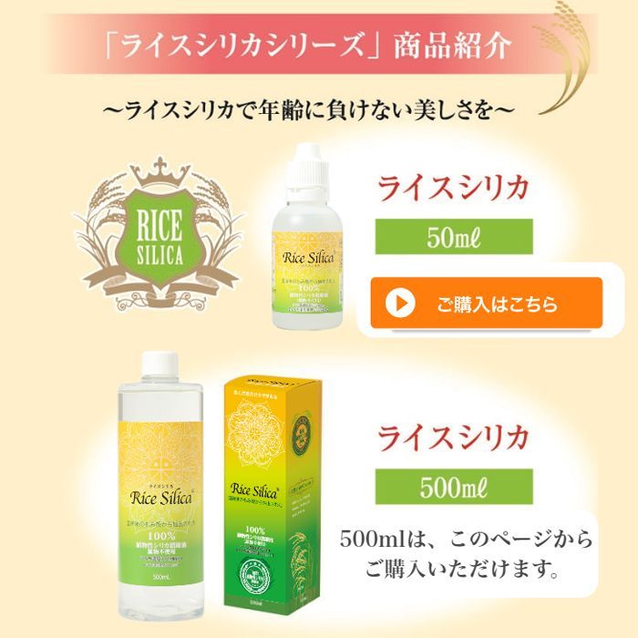 ライスシリカ 500ml ３本セットに変更 - その他