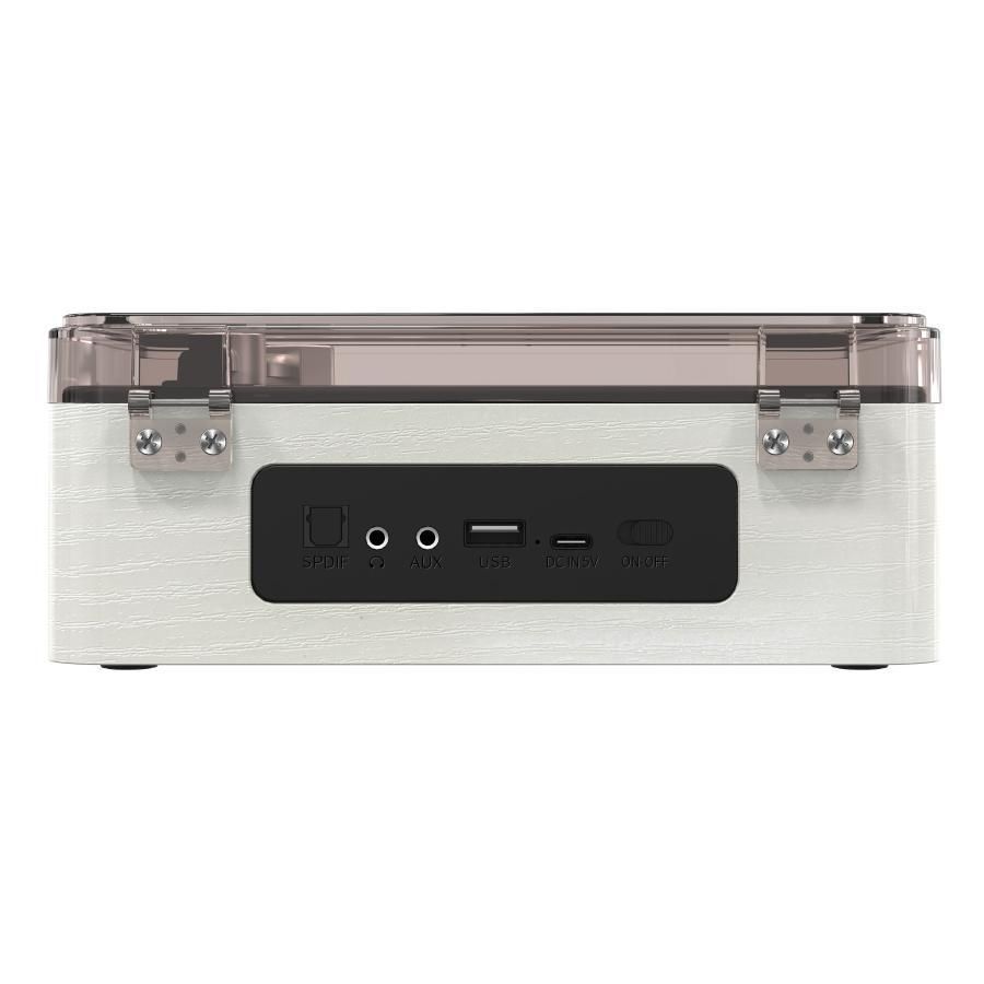 卓上 レコードプレーヤー型