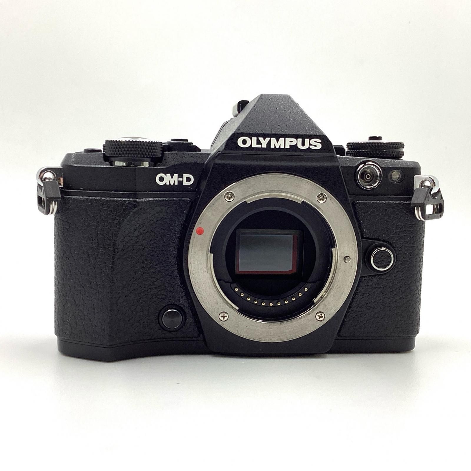 全額返金保証】【最速発送】OLYMPUS デジタル一眼 OM-D E-M5 Mark II  