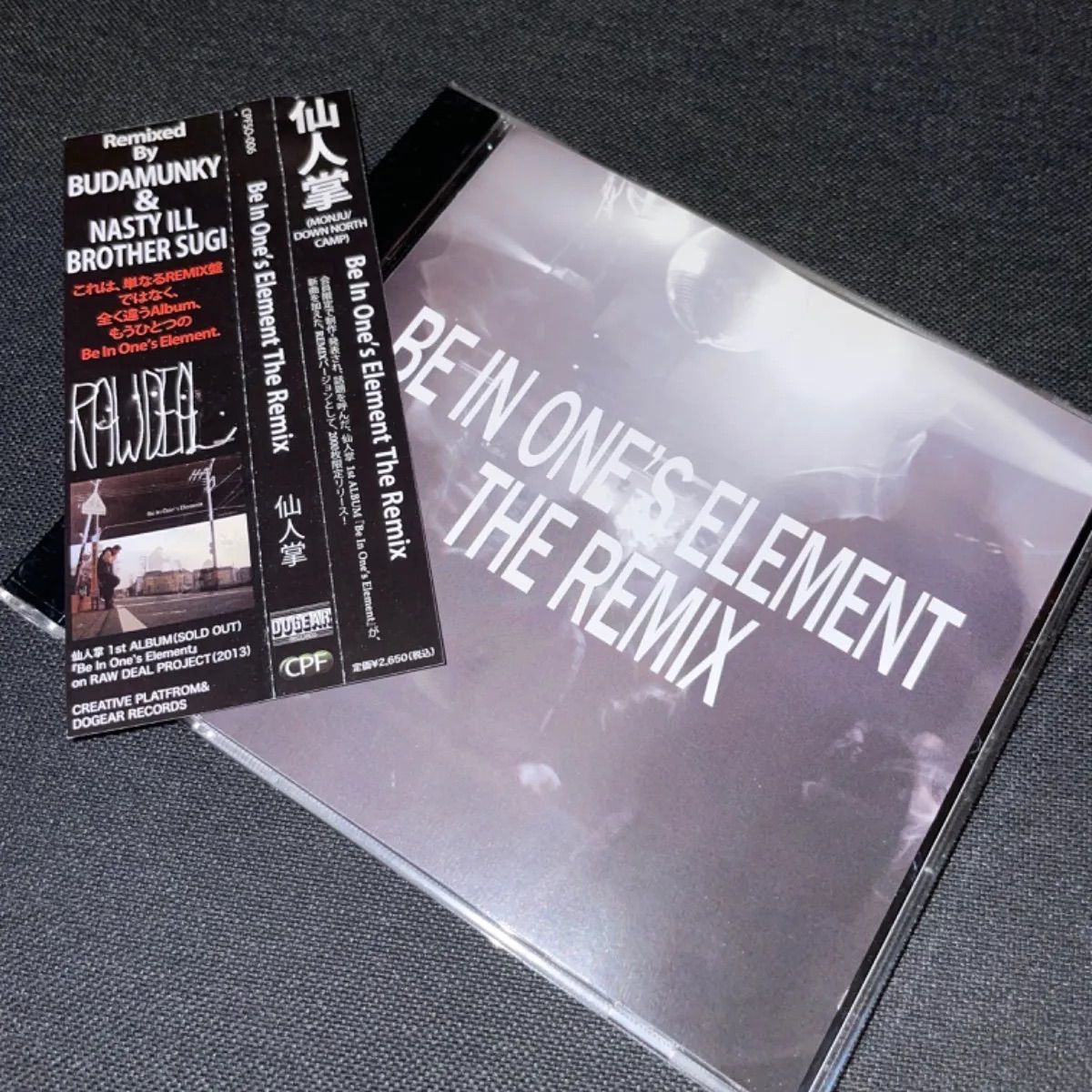 仙人掌 Be In One´s Element レコード 日本語ラップ