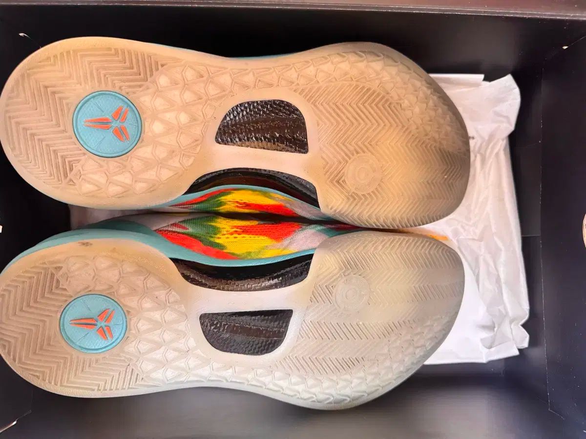 【正規品 通販 ブランド】 275 コービー 8 ベニスビーチ プロトロ 状態 賞