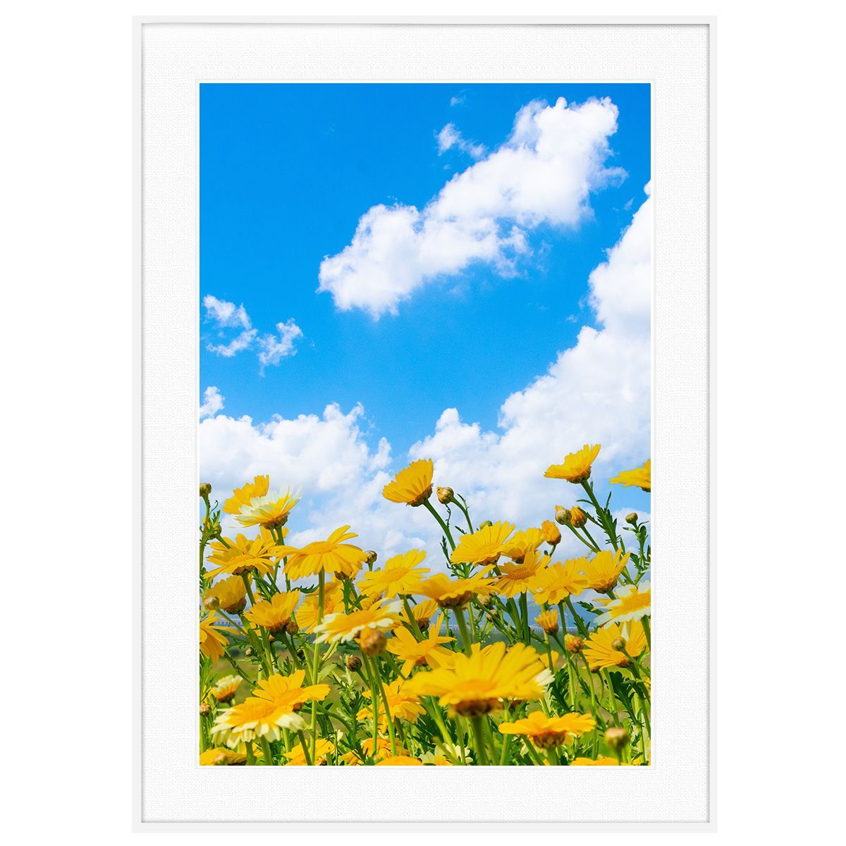 早水恵一郎 和食 木工 漆 作家/敷板 板皿 ショップ 作家もの