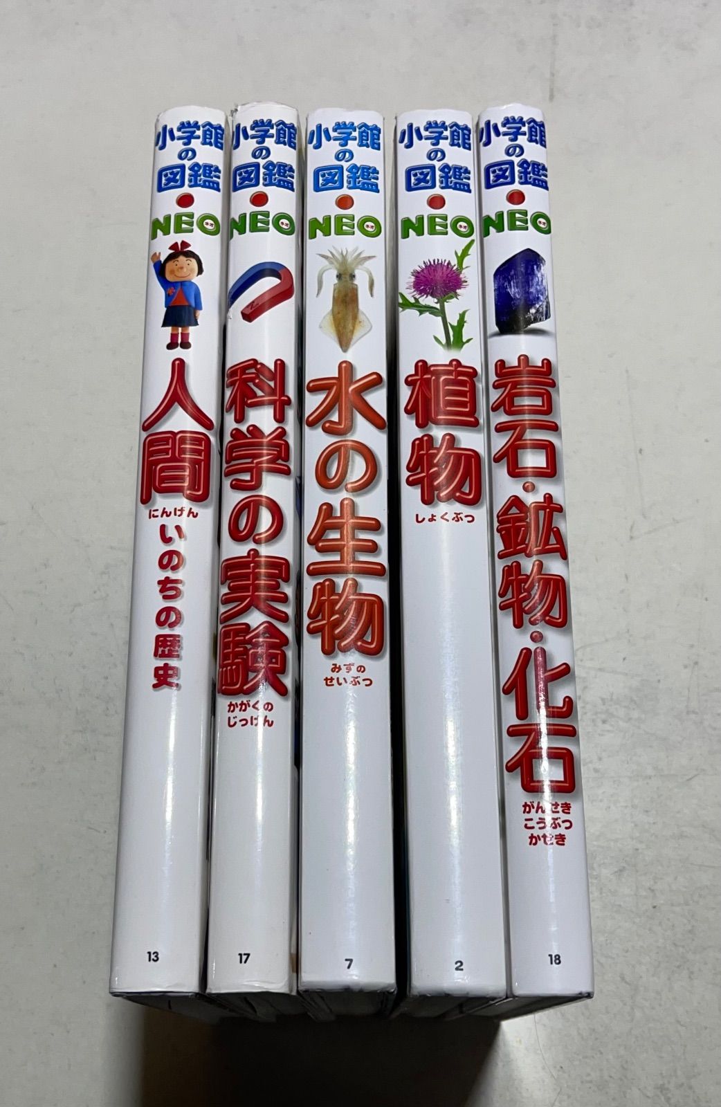 未使用⭐︎小学館の図鑑NEO 5冊セット 小学館の図鑑NEO DVDなしセット 既5巻｜HONLINE（ホンライン）