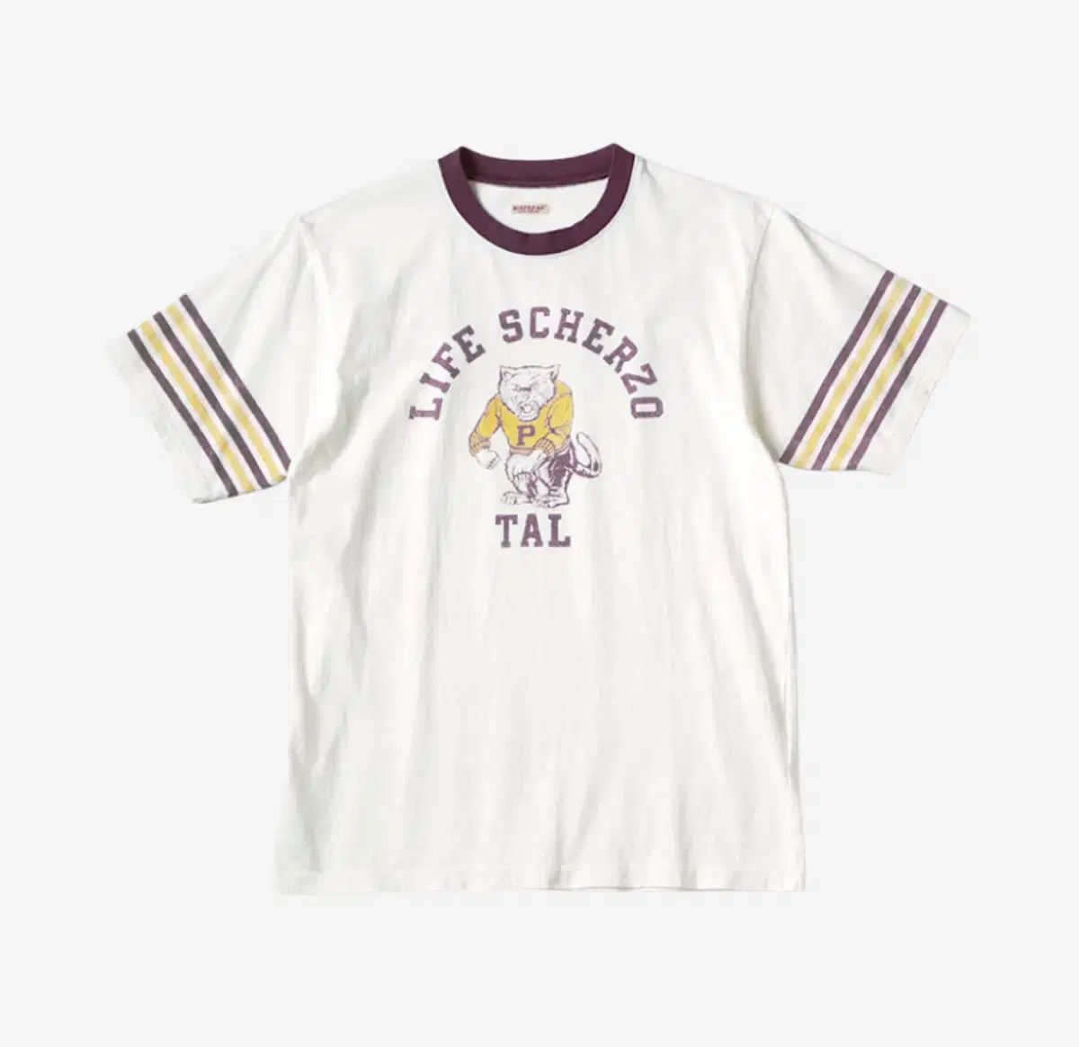 中国 唐木紫檀枠 山水人物彫 檀香宮扇 団扇 証明書付 C 8311