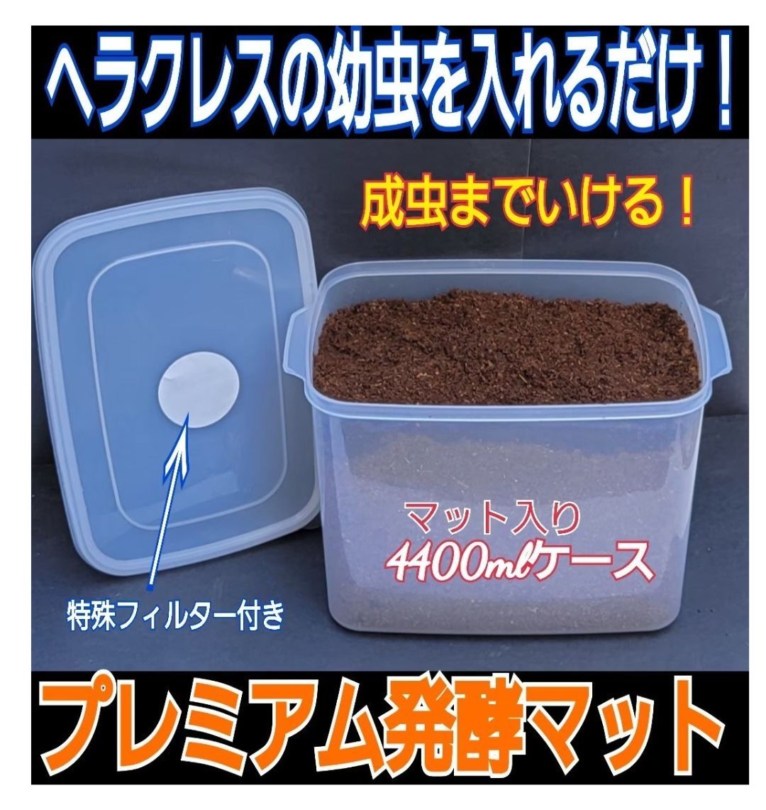 カブトムシ幼虫を入れるだけ！便利！プラケース入りプレミアム発酵