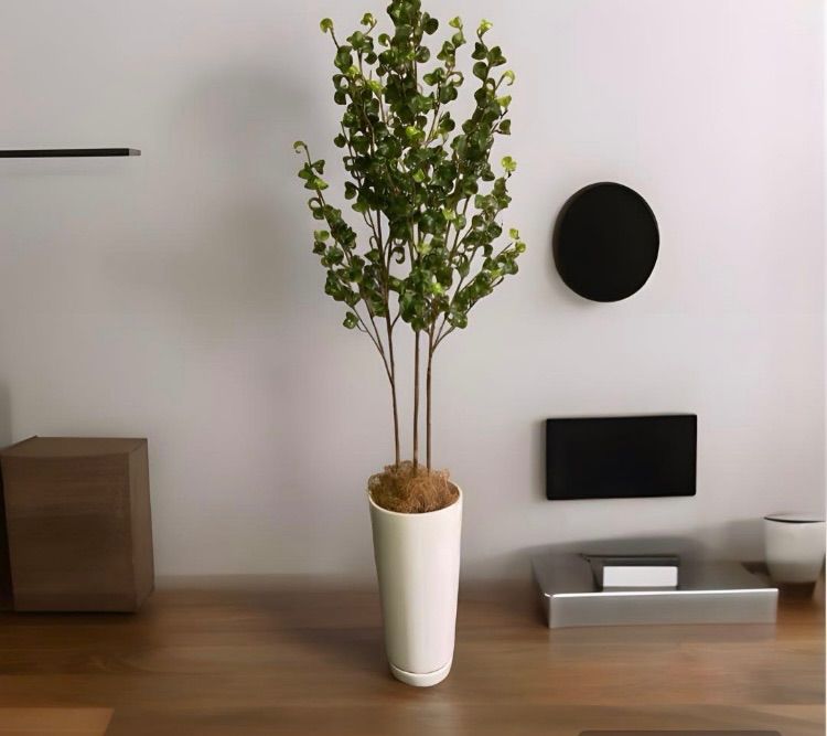 光触媒 人工観葉植物 ウォールグリーン フェイクグリーン ベンジャミン