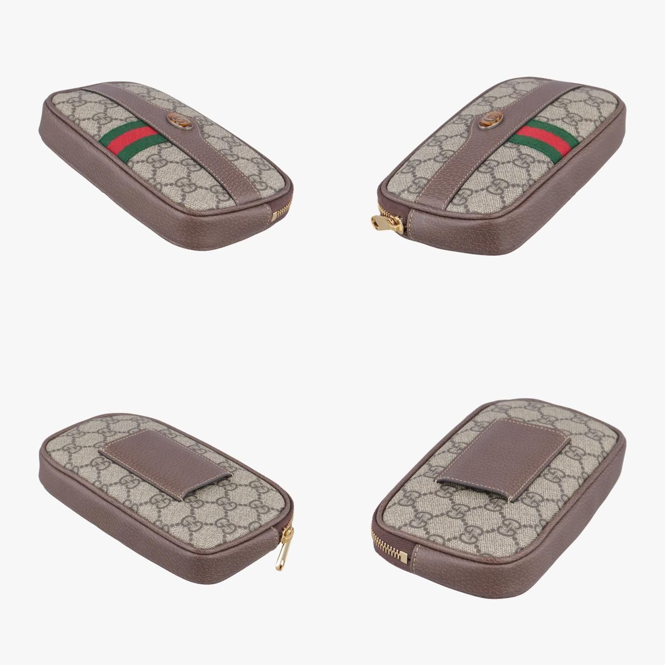 グッチGucciオフィディアブラウンPVCコーティングキャンバス×レザー519308