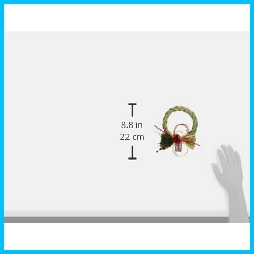 約縦21.0×横23.0×厚5.5cm