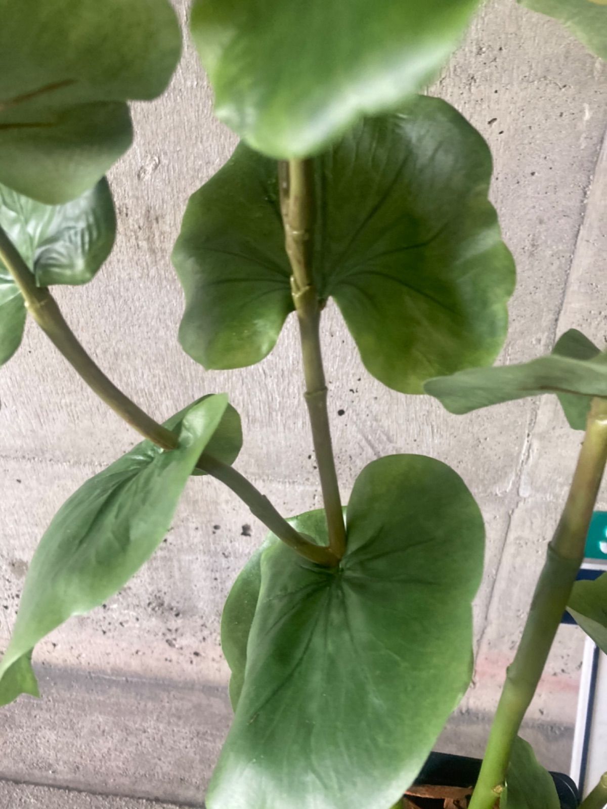 光触媒 人工観葉植物 ウォールグリーン フェイク シーグレープ132