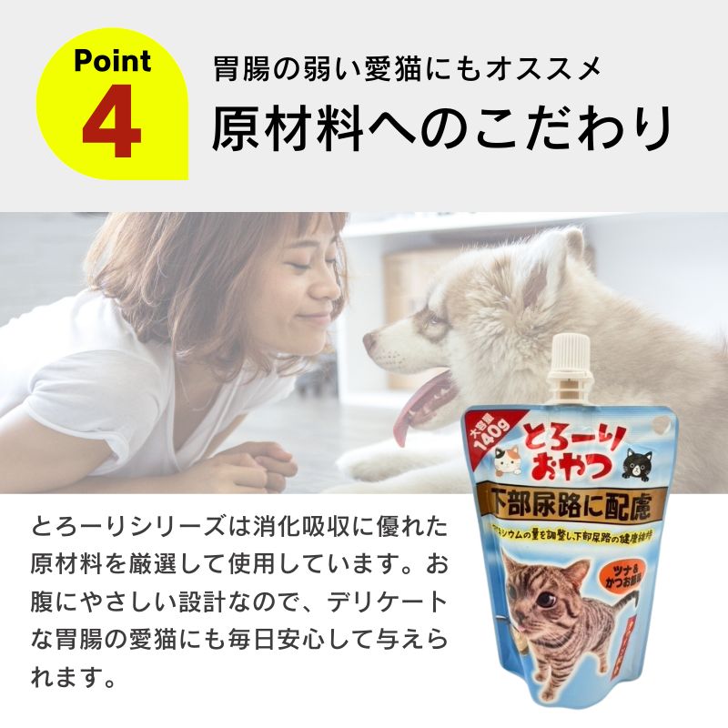 高齢猫 シニア
