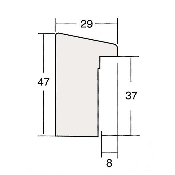 真作】F6 白川杏子【柔らかい光に包まれて】gallery購入品 共シール有り