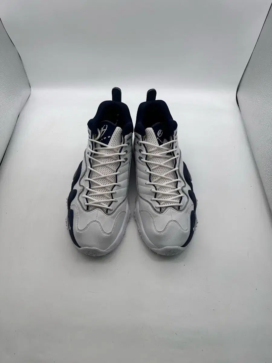 NIKE ナイキ ズームフライト 5 バスケットシューズ