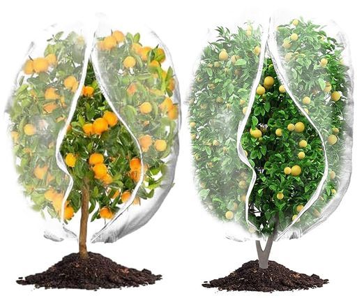 防虫ネット家庭菜園防鳥ネットPFIRHAS植物保護カバー2枚入りファスナー付き&巾着式プランター園芸ネット鳥よけネット虫鳥除け網花壇果樹野菜栽培適用防風防虫鳥対策 【楽天市場】＼任意2個で300円OFF／防虫ネット 植物ネット 2枚入り 植物保護カバー 野菜網 鳥よけ網 メッシュ巾着式 防風 防虫 鳥対策 園芸用ネット  菜園 プランター 花壇適用のホワイト透明 通気性 園芸用品 : YOLER