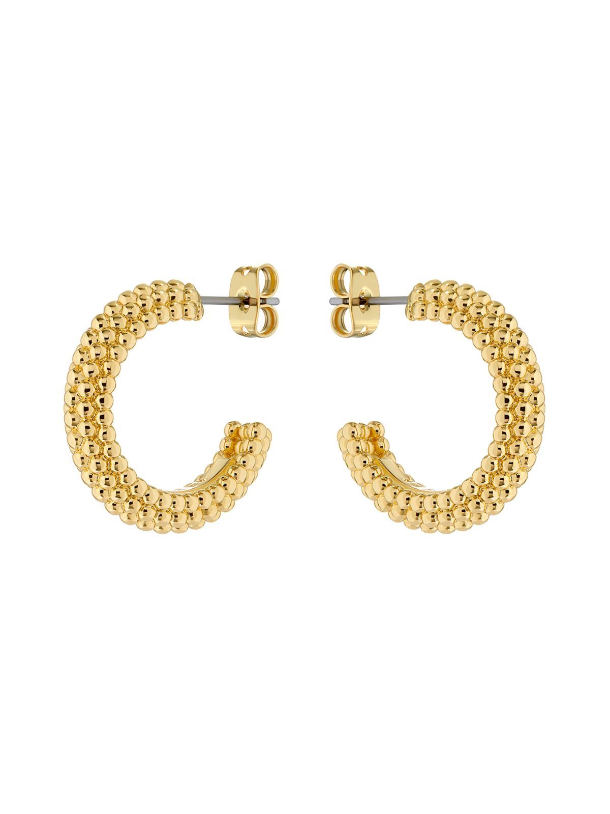 人気 【標本】レックスゾウカブト ペルー産 115.1ミリ 野外品