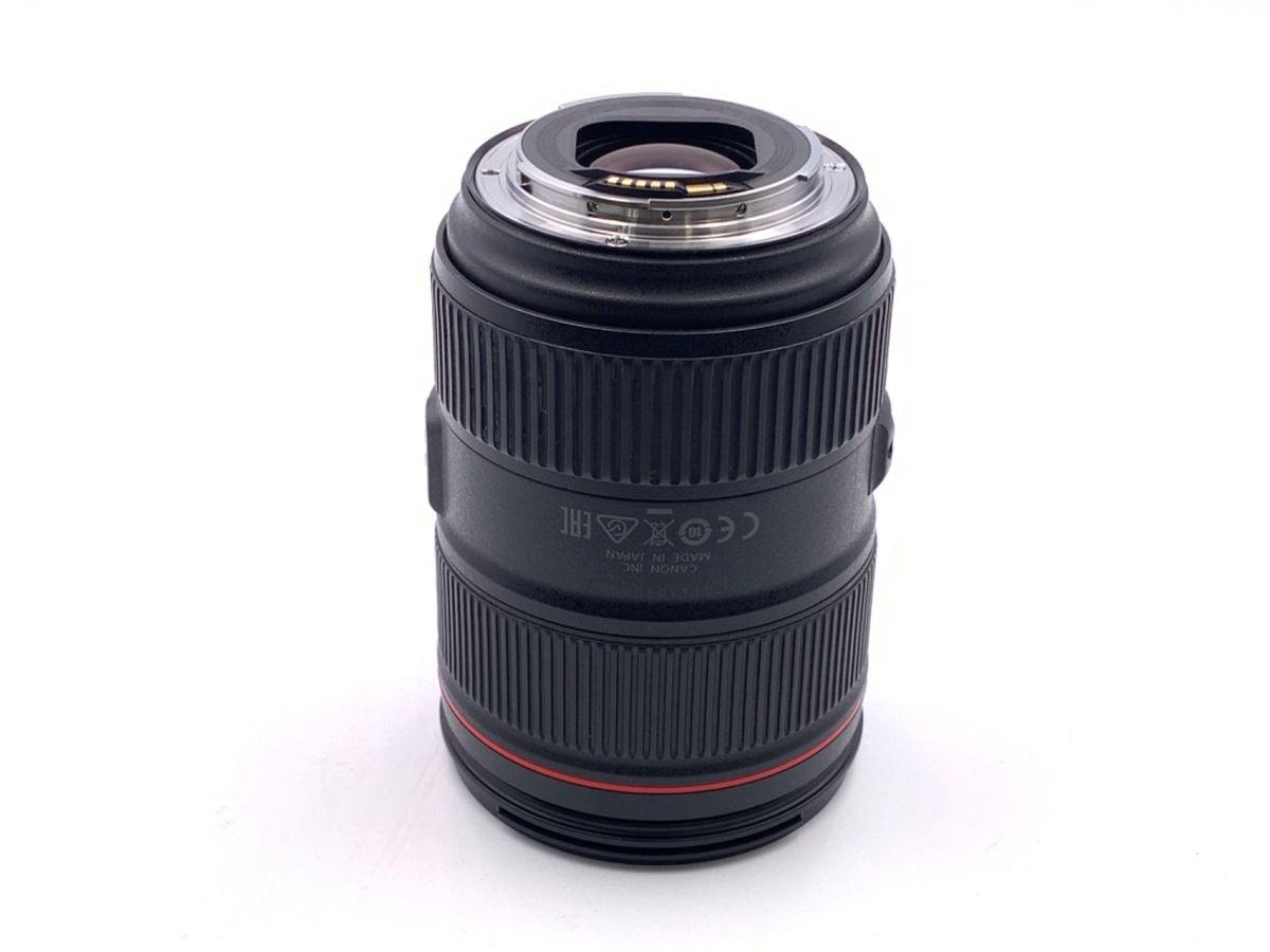 Canon キャノン EF 24-105mm F4L IS USM -D70
