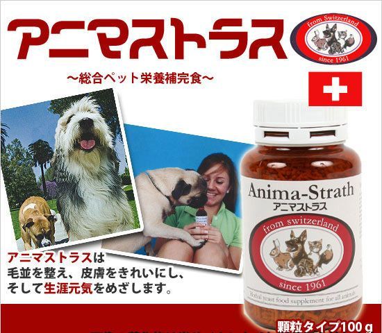 腸
