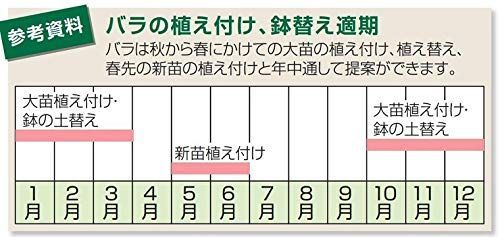 ダークグリーン_8号_5個組 リッチェル バラ鉢 8号 ダークグリーン 5個