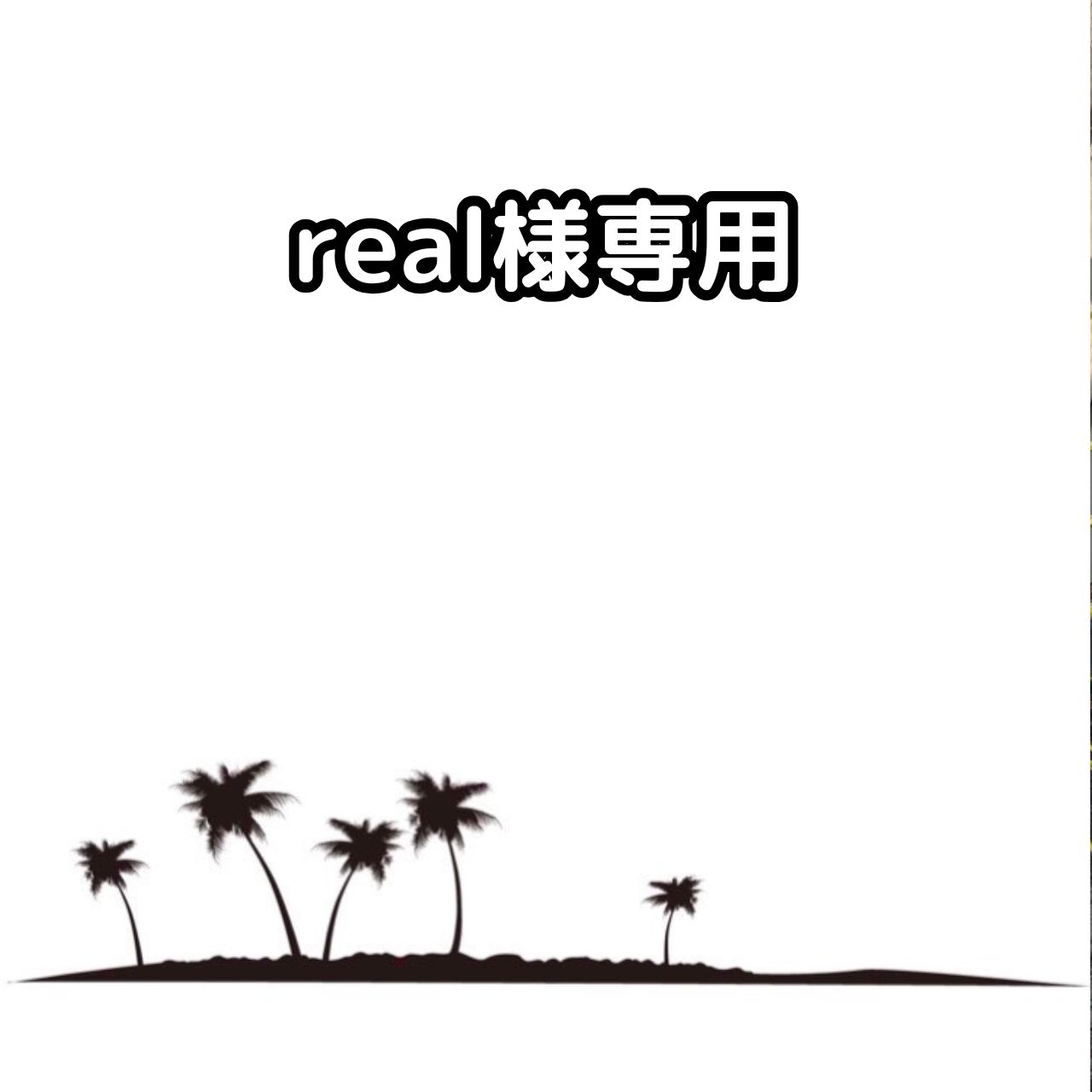 real様 ビスマルキアノビリスシルバー実生苗 2鉢 Bismarckia nobilis silver