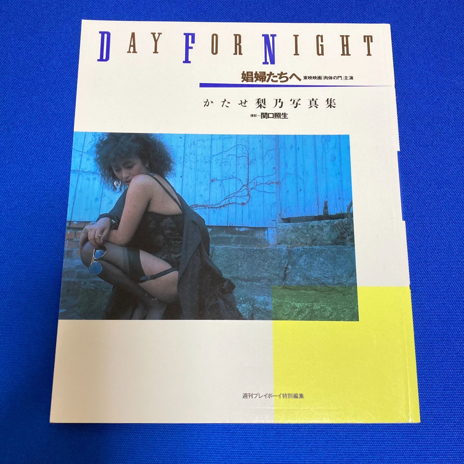 かたせ梨乃 写真集 DAY FOR NIGHT 娼婦たちへ 集英社 週刊プレイボーイ特別編集 昭和63年 初版 昭和 レトロ 東映 映画 肉体の門  中古【B06 - メルカリ