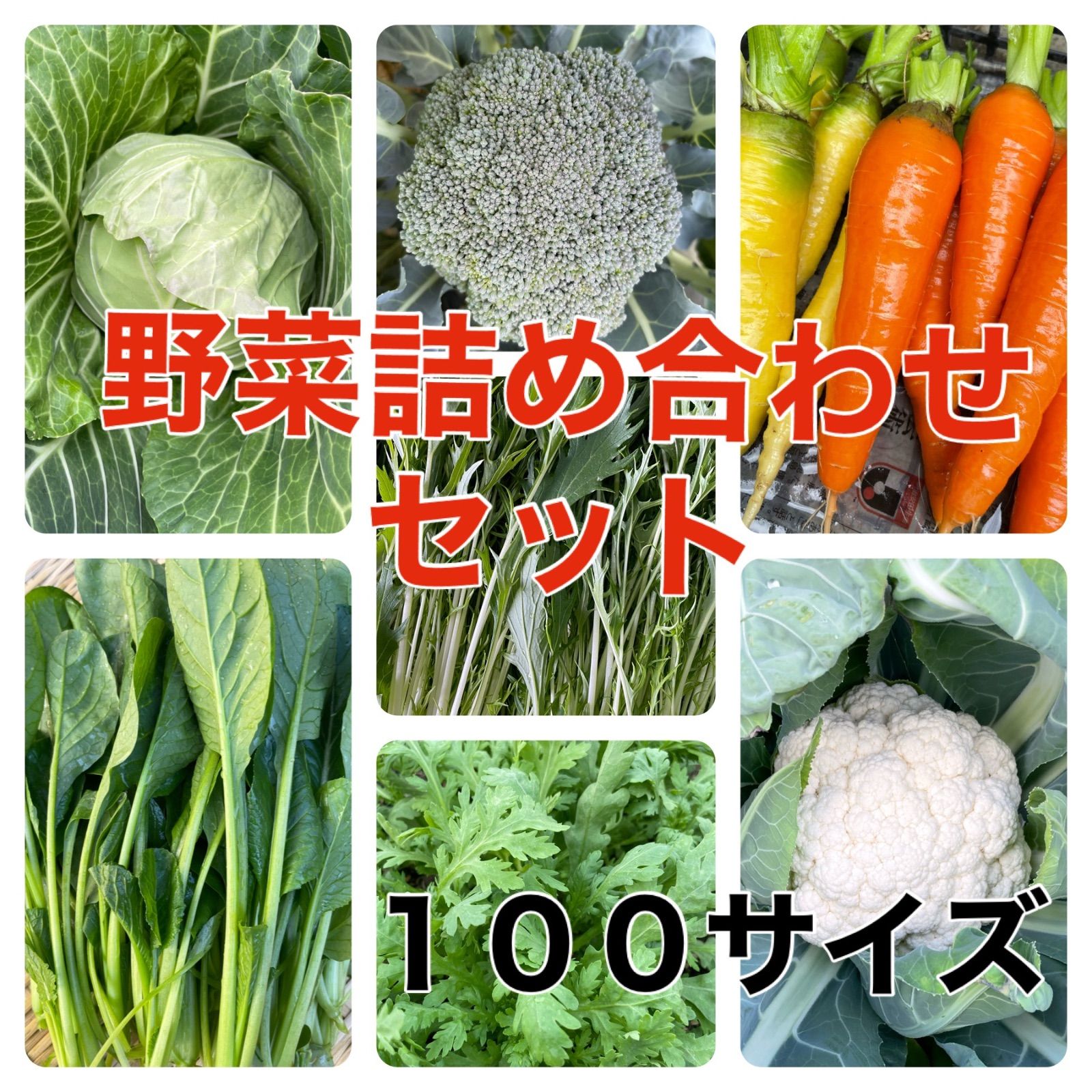 メルカリShops - 金曜日発送‼️野菜詰め合わせセット‼️7種類100サイズ