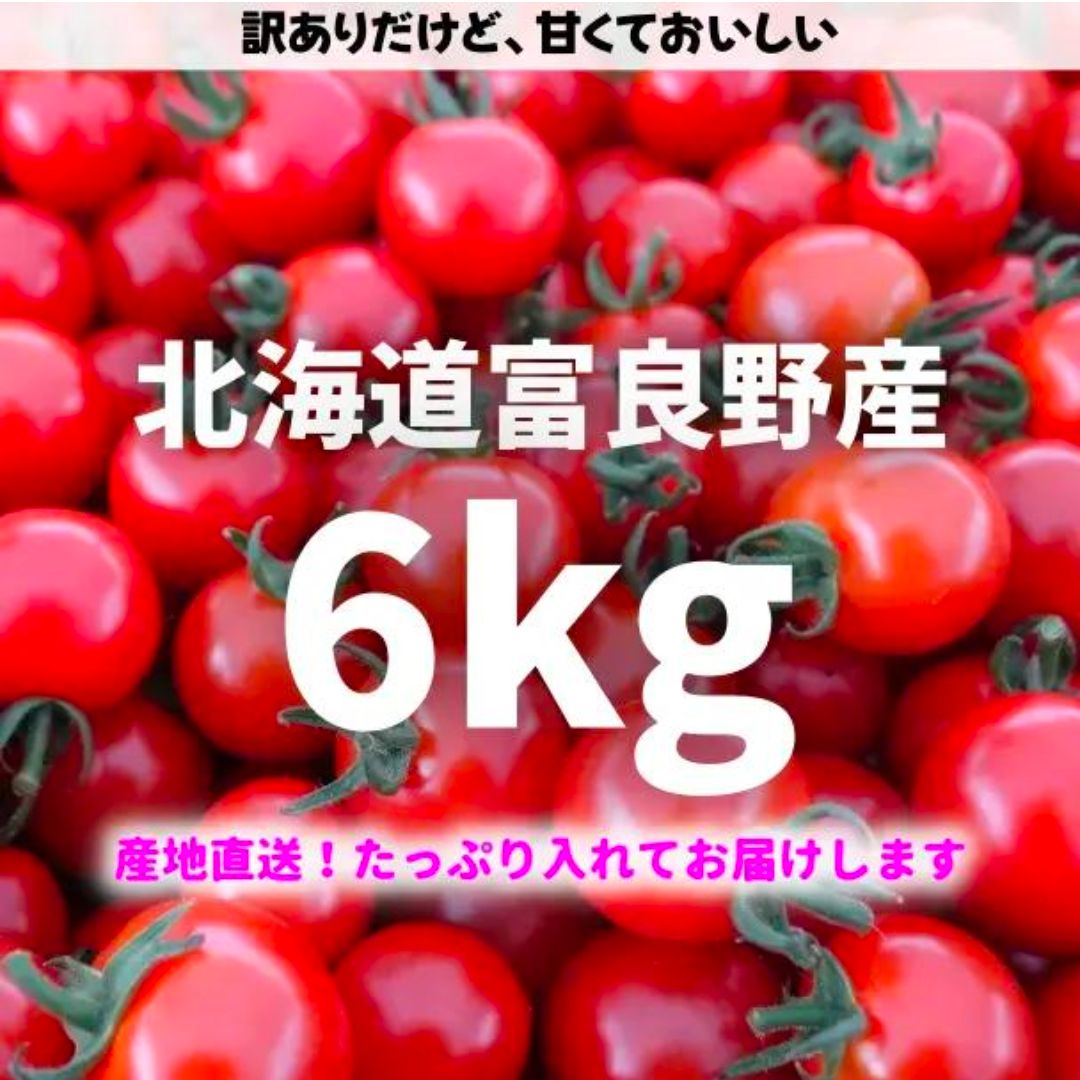 今期最終、北海道ふらの産ミニトマト6キロ【訳あり】 北海道ふらの産ミニトマト6キロ【訳あり】