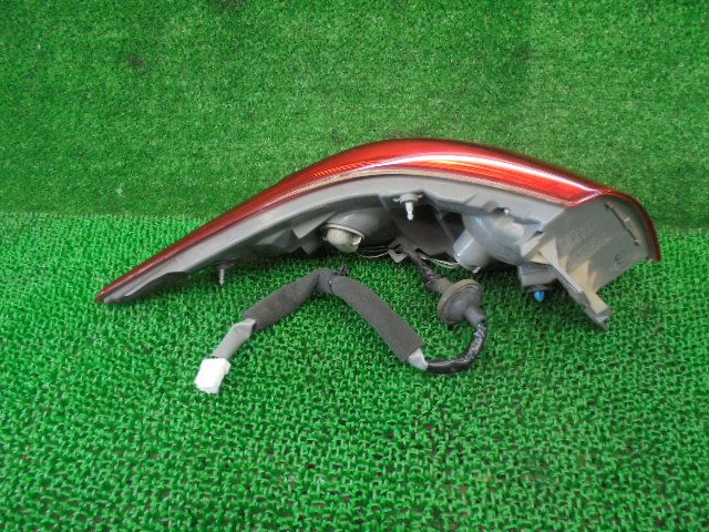 F ハイブリッド