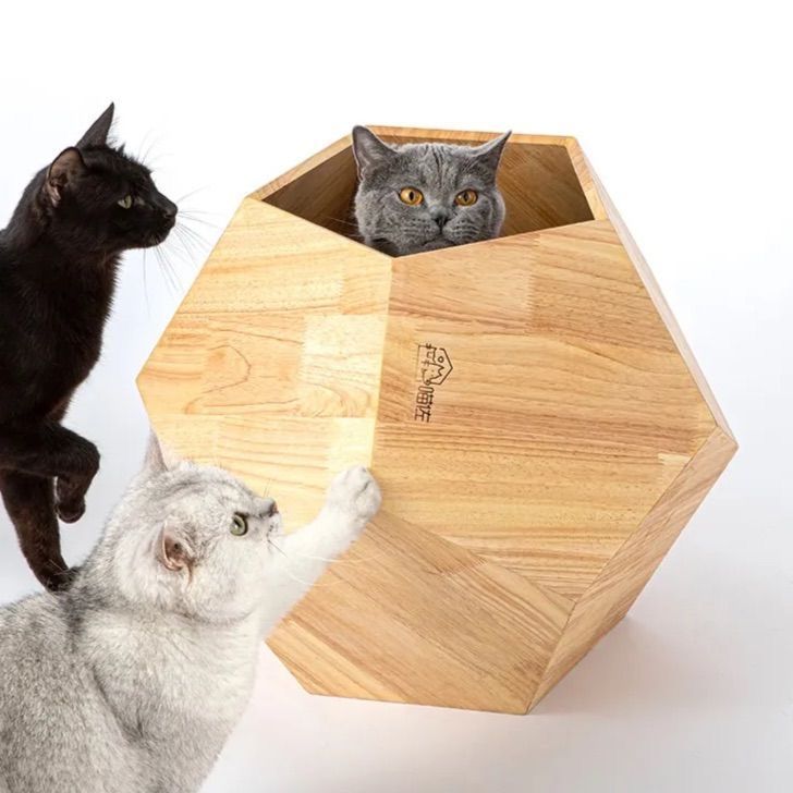 2タイプから選べる キャットクライミングフレーム キャットネスト キャットハウス キャットツリー オールインワン 室内 北欧 オーク 無垢材 猫の巣 猫用品 猫 家 おもちゃ
