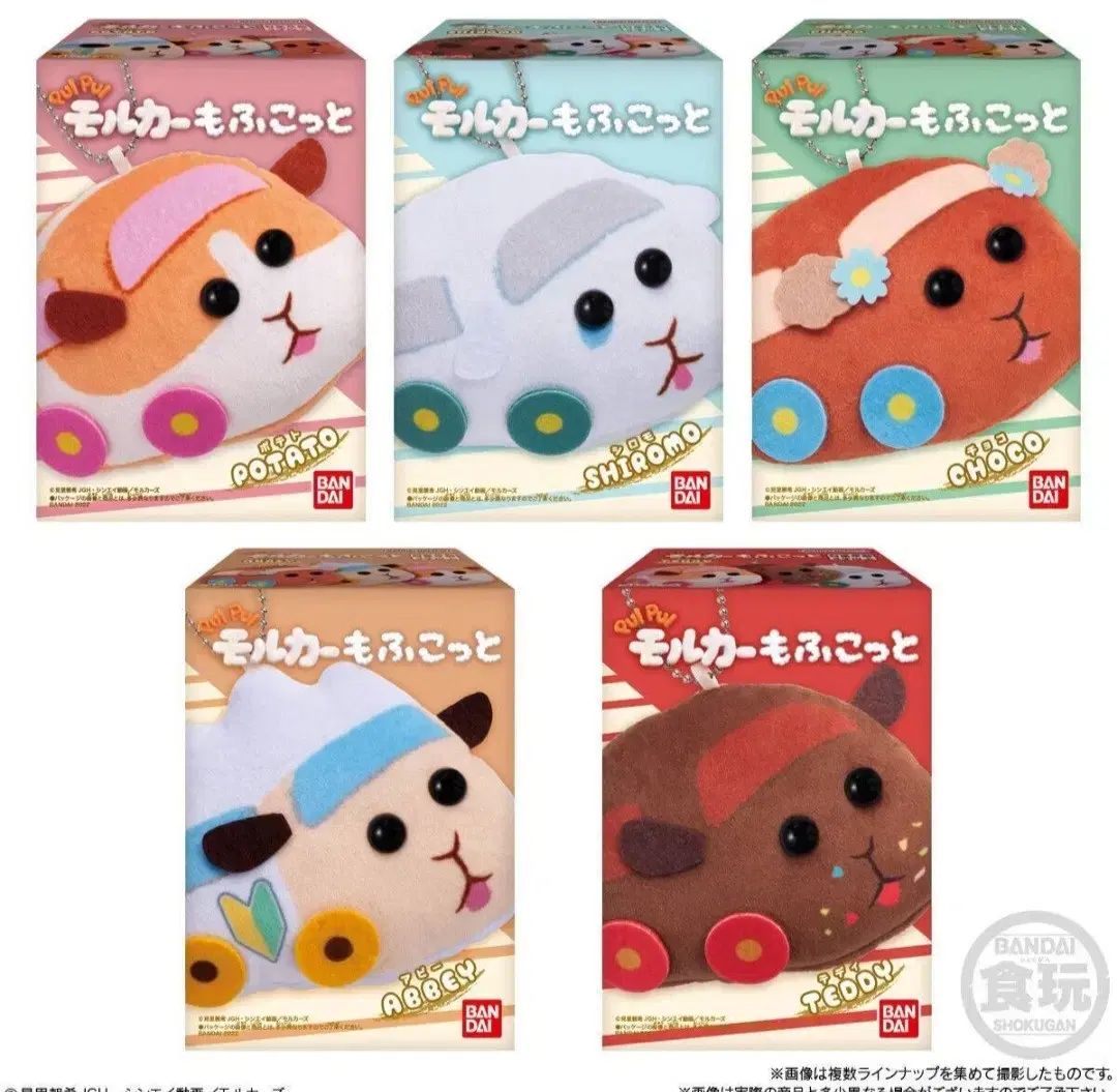 【雷市場（ポンジャン）商品韓国直送】 モルカ キーリング ポケットキーリング