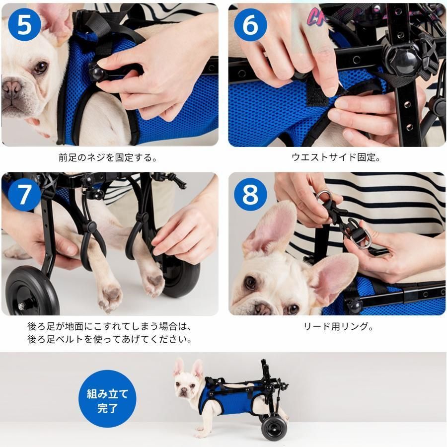 後ろ足