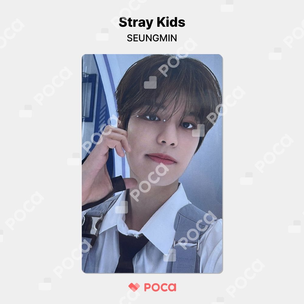 Straykids スンミン チェキ トレカ Stray Kids - straykids スンミン チェキの通販 by