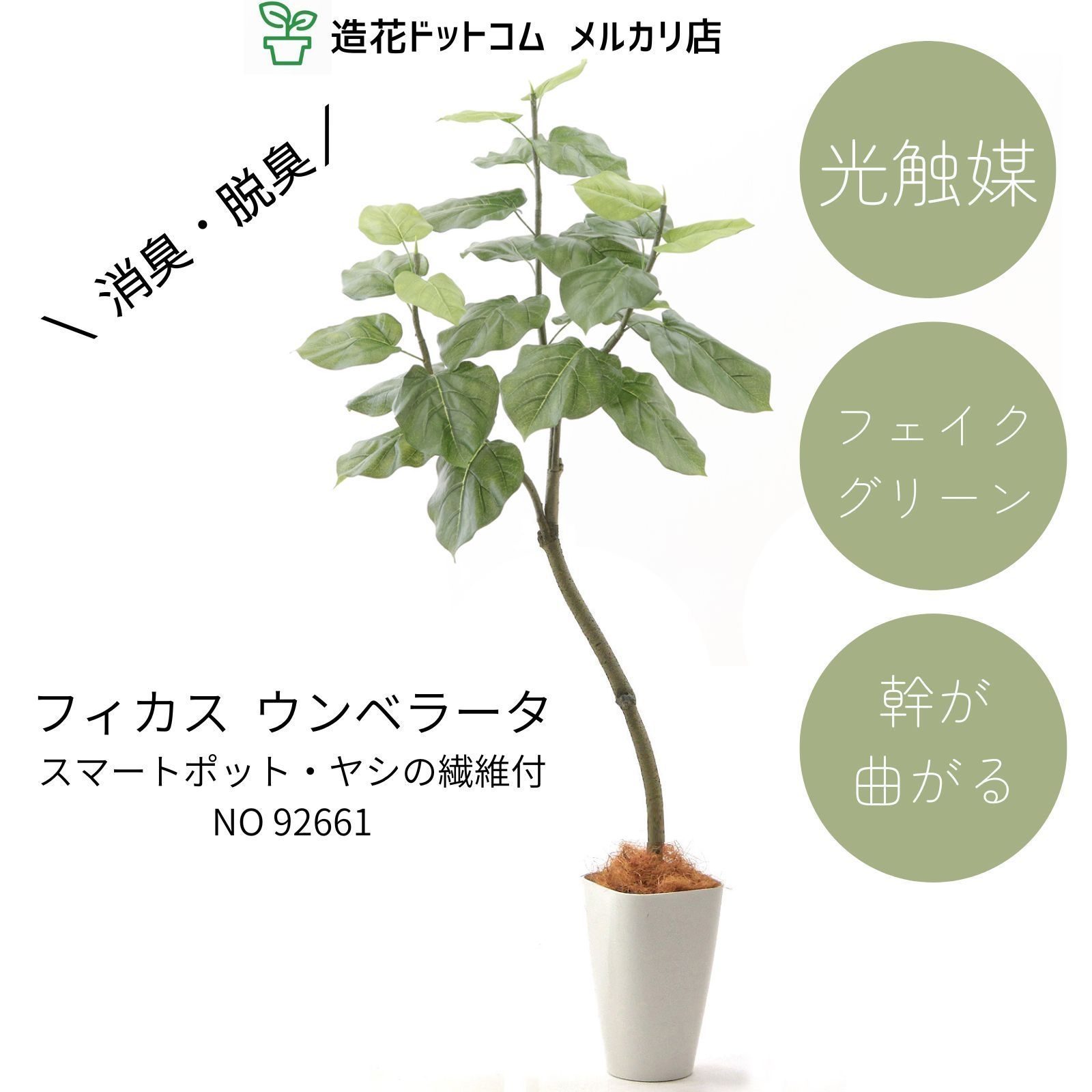 公式｜造花ドットコム メルカリ店 No92661 プレミアム光触媒フェイクグリーン フィカス ウンベラータ 3枝 高さ150cm 幅70cm 奥行70cm スマートポットC8＋ヤシの繊維付